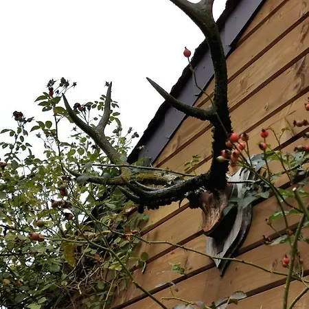 Le Cerf D'hubert 3* Redu